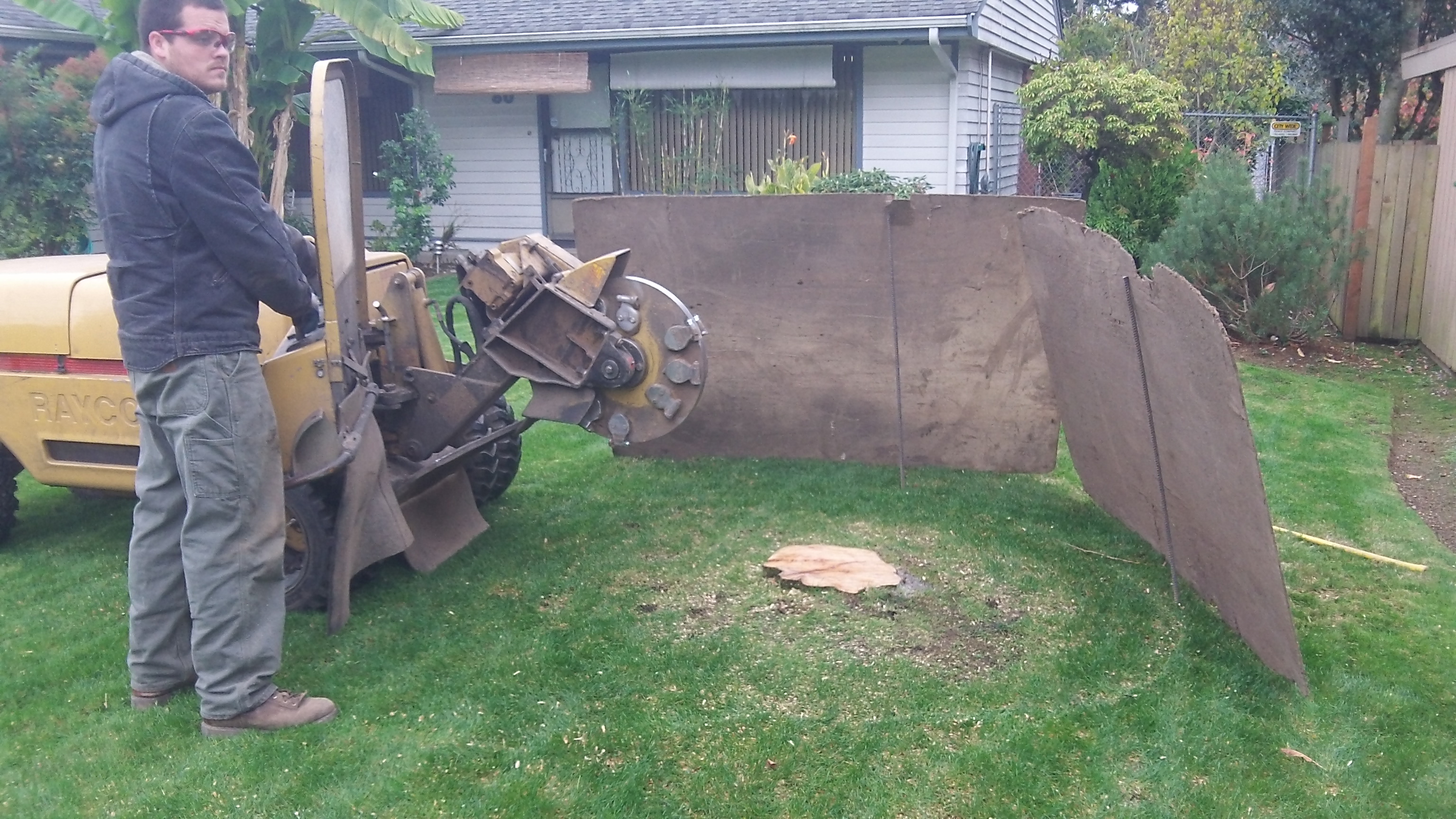 Tree stump in a residential yard